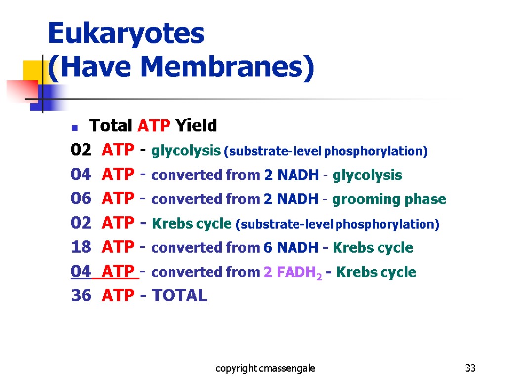 33 Eukaryotes (Have Membranes) Total ATP Yield 02 ATP - glycolysis (substrate-level phosphorylation) 04